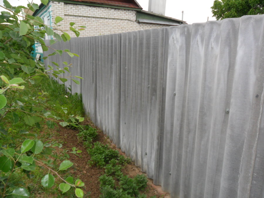 Серые листы шифера на заборе дачного участка