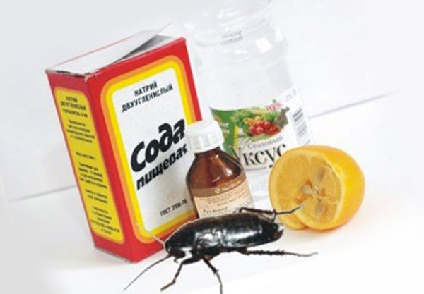 Чем потравить тараканов в доме самый эффективный способ: Чем эффективно .